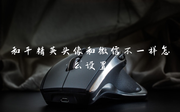 和平精英头像和微信不一样怎么设置