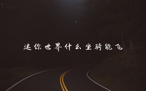 迷你世界什么坐骑能飞