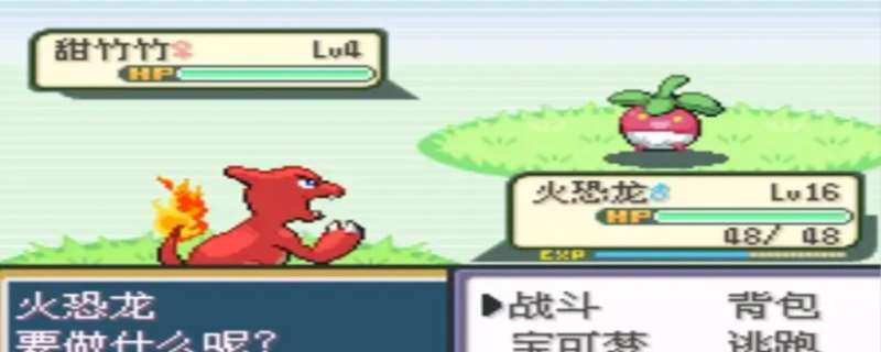 火红版经常有携带物