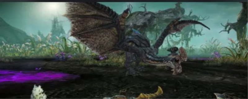 怪鸟藏身地怎么通关