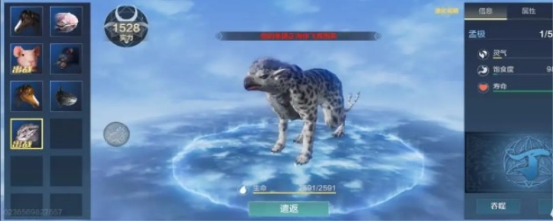 妄想山海哪个宠物伤害最高
