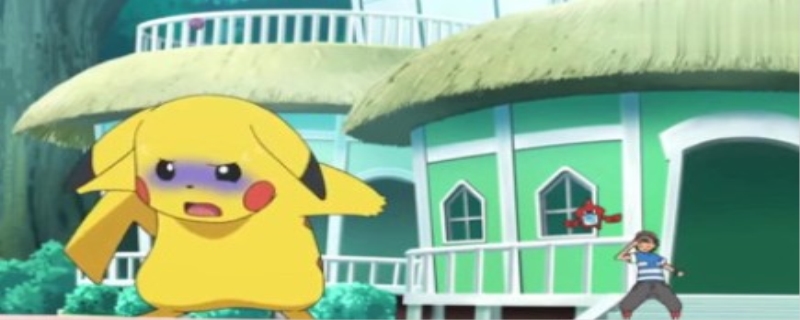 精灵宝可梦盾具甲武者