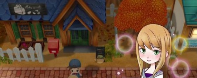 牧场物语重聚矿石镇结婚