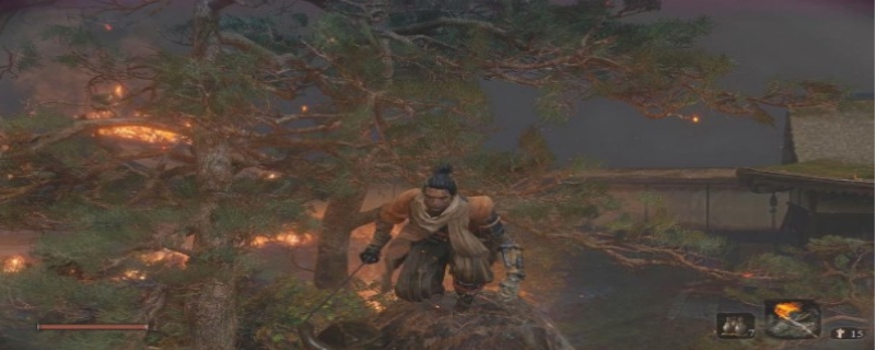 只狼影逝二度必看攻略