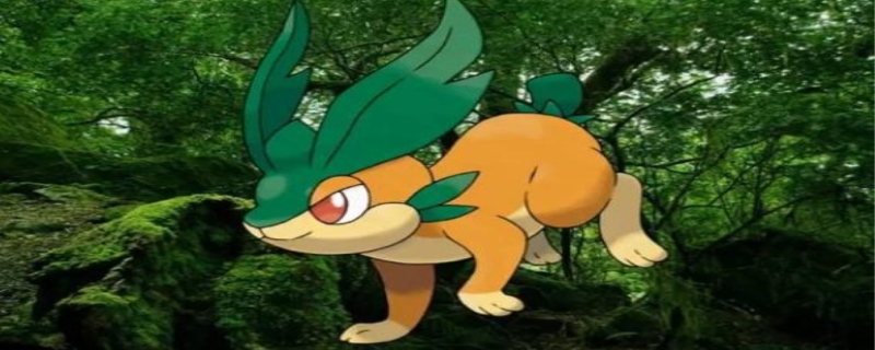 神奇宝贝叶子人物