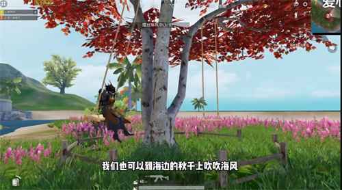 和平精英特训岛是训练场吗 特训岛和训练营有什么区别
