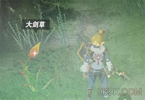 塞尔达传说王国之泪大剑草位置汇总