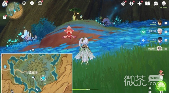 原神净觉花解谜攻略汇总-原神净觉花解谜攻略详情