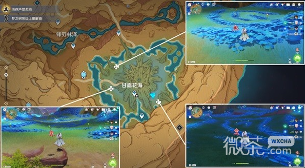 原神净觉花解谜攻略汇总-原神净觉花解谜攻略详情