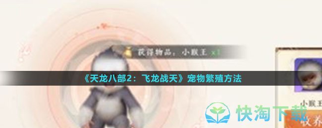 天龙八部2飞龙战天宠物怎么繁殖-宠物繁殖玩法