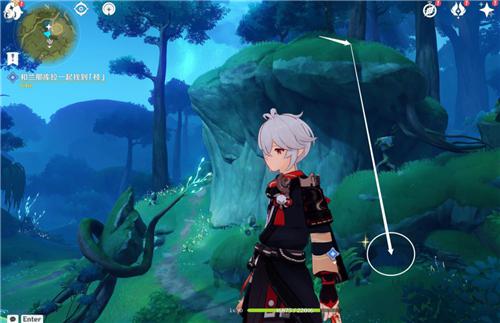 原神石头的记忆枝在哪 和兰那库拉一起找到枝攻略