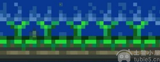 泰拉瑞亚药草怎么种-药草种植方法心得分享