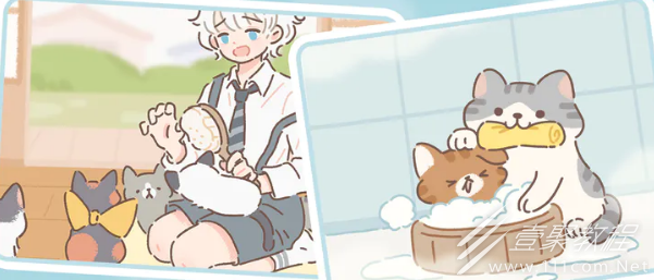 遇见你的猫猫如何变人类