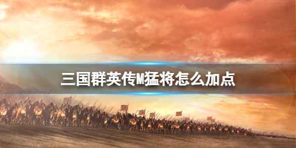 三国群英传M猛将怎么加点-三国群英传M亚服猛将加点策略
