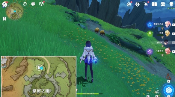 原神与珍稀之鸟类的短暂邂逅任务怎么做-与珍稀之鸟类的短暂邂逅任务攻略