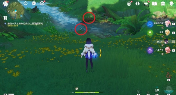 原神与珍稀之鸟类的短暂邂逅任务怎么做-与珍稀之鸟类的短暂邂逅任务攻略