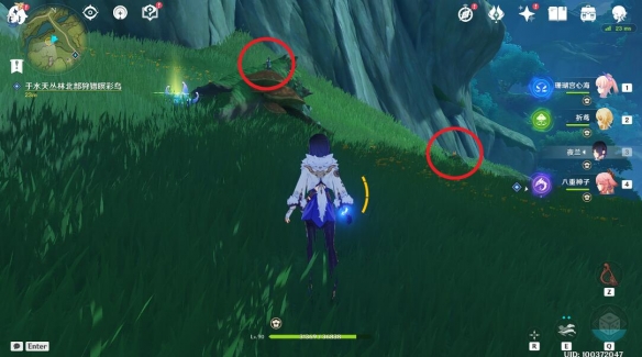 原神与珍稀之鸟类的短暂邂逅任务怎么做-与珍稀之鸟类的短暂邂逅任务攻略