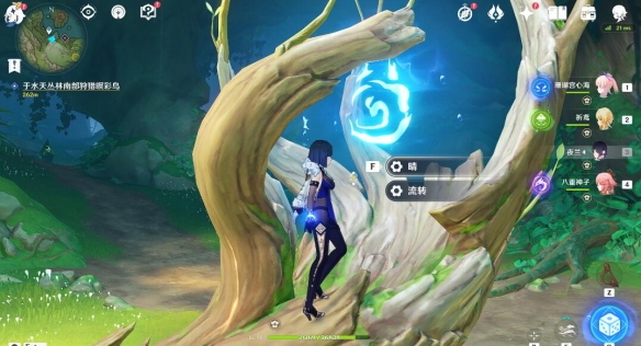 原神与珍稀之鸟类的短暂邂逅任务怎么做-与珍稀之鸟类的短暂邂逅任务攻略