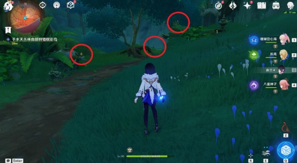 原神与珍稀之鸟类的短暂邂逅任务怎么做-与珍稀之鸟类的短暂邂逅任务攻略