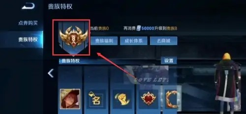 王者荣耀v8特权在什么位置里