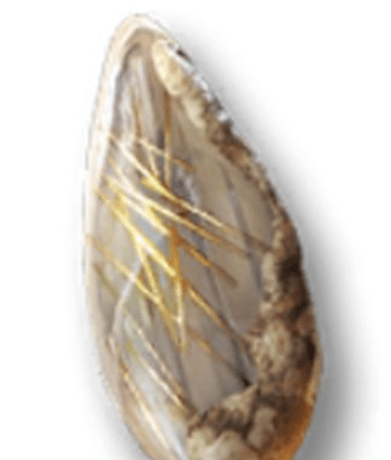 重返未来1999共鸣培养材料有什么-重返未来1999共鸣培养材料大全