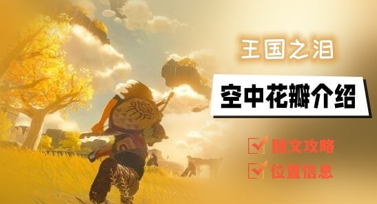 塞尔达传说王国之泪空中花瓣怎么去