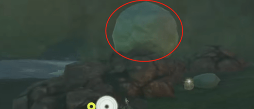 塞尔达传说王国之泪奥尔汀大化石任务攻略-塞尔达传说王国之泪奥尔汀大化石眼睛位置