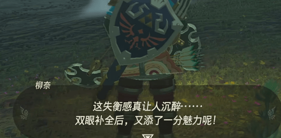 塞尔达传说王国之泪奥尔汀大化石任务攻略-塞尔达传说王国之泪奥尔汀大化石眼睛位置