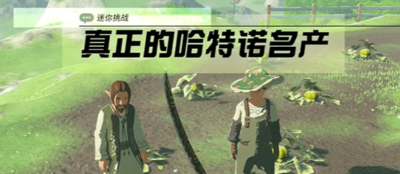 塞尔达传说王国之泪真正的哈特诺名产任务推荐