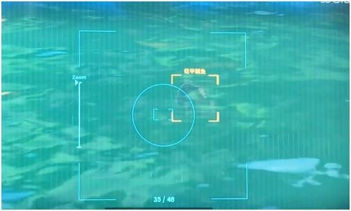 塞尔达传说王国之泪铠甲鲷鱼获得攻略介绍-塞尔达传说王国之泪铠甲鲷鱼获得位置汇总