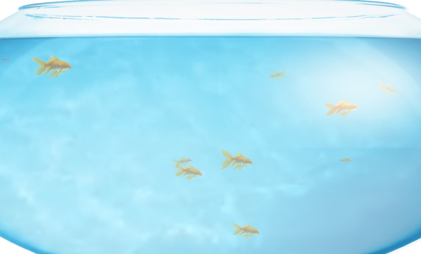 fishbowl养鱼性能测试网址目前能打开-fishbowl浴缸性能测试网站2023