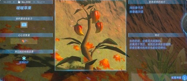 塞尔达传说王国之泪暖暖草果料理能做什么-塞尔达传说王国之泪暖暖草果食谱攻略