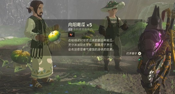 塞尔达传说王国之泪向阳南瓜怎么得到-王国之泪向阳南瓜获取步骤详解介绍