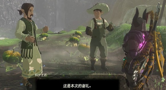 塞尔达传说王国之泪向阳南瓜怎么得到-王国之泪向阳南瓜获取步骤详解介绍