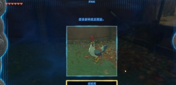 塞尔达传说王国之泪咕咕鸡的布料怎么得-刷取位置介绍