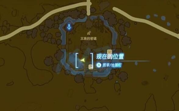 王国之泪空中花瓣是什么-展示