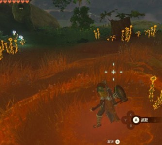 塞尔达传说王国之泪暖暖香草在哪采摘购买-塞尔达传说王国之泪暖暖香草获得攻略