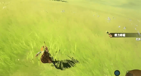 塞尔达王国之泪精力蚱蜢在哪-王国之泪精力蚱蜢位置介绍