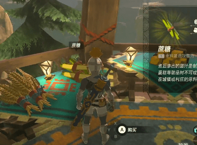 王国之泪蔗糖购买位置在哪里-塞尔达传说王国之泪蔗糖怎么得到