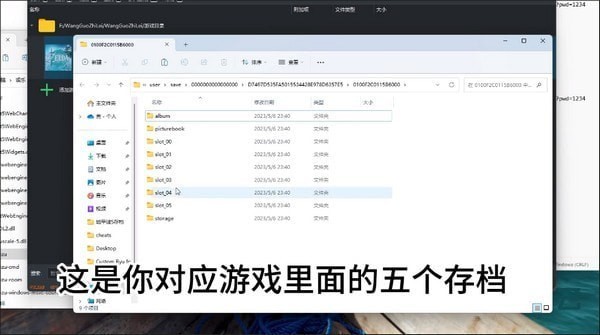 塞尔达传说王国之泪存档在哪里-塞尔达传说王国之泪存档文件位置汇总