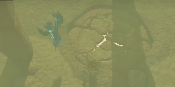 塞尔达传说王国之泪暖暖香草在哪采摘购买-塞尔达传说王国之泪暖暖香草获得攻略