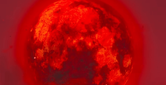 王国之泪海利亚盾只能拿一次吗-塞尔达传说王国之泪海利亚盾问题汇总