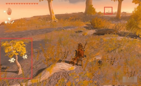 塞尔达传说王国之泪闪耀果在哪里刷-闪耀果获取攻略汇总