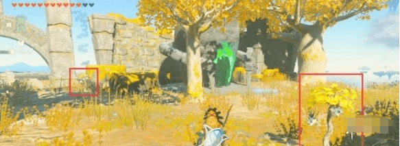 塞尔达传说王国之泪闪耀果在哪里刷-闪耀果获取攻略汇总