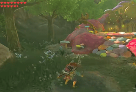 塞尔达传说王国之泪毅力胡萝卜能做什么-塞尔达传说王国之泪毅力胡萝卜购买位置汇总