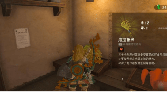 王国之泪海拉鲁米在哪收集-塞尔达传说王国之泪海拉鲁米怎么得到