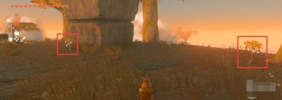 塞尔达传说王国之泪闪耀果在哪里刷-闪耀果获取攻略汇总