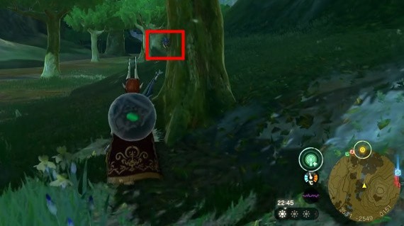 王国之泪独角仙在哪抓-塞尔达传说王国之泪大剑独角仙位置坐标攻略