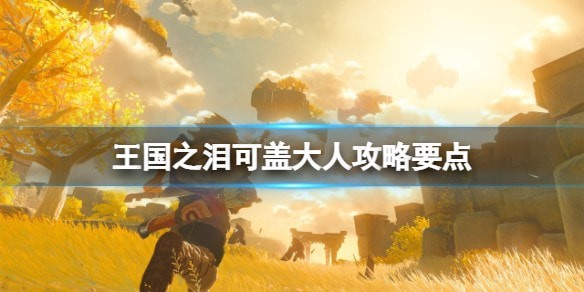 塞尔达传说王国之泪可盖大人战术攻略