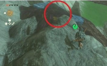 塞尔达传说王国之泪托托湖在哪-塞尔达传说王国之泪托托湖位置汇总